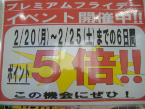 DSCF0243